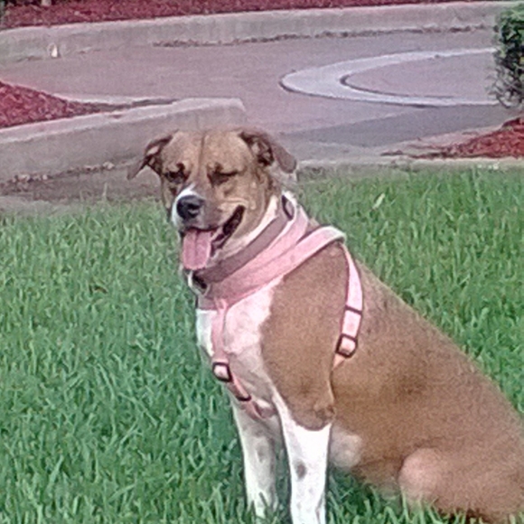 Meet your Posher, Kimberlee - Picture 3 of 4